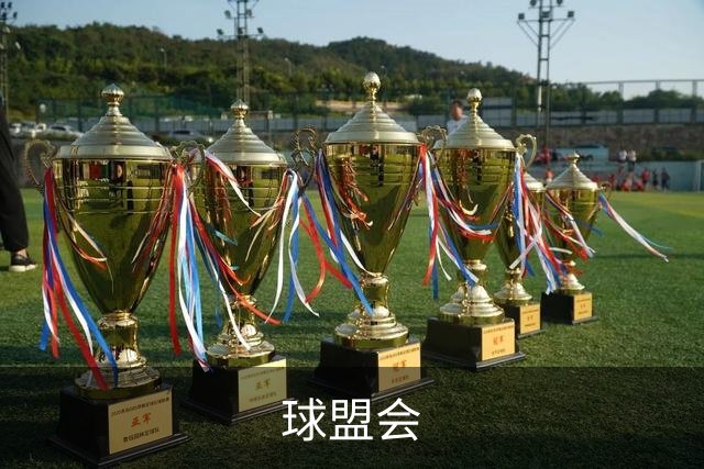球盟会 公司简介